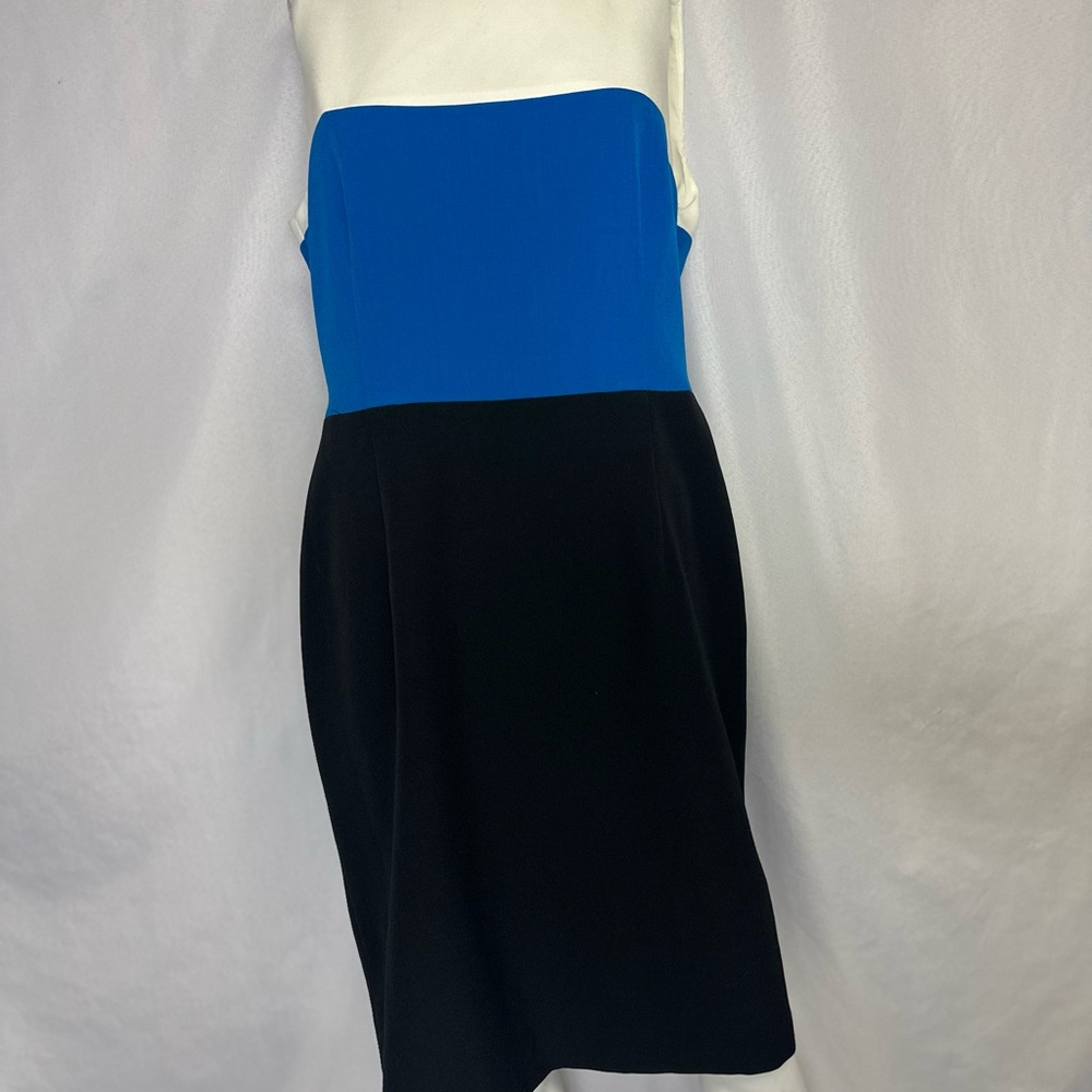 Kasper Size 10  Dress Woman’s Sleeveless Fitted Three Colored Wide Striped NWT - Picture 4 of 5